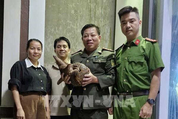 Quảng Trị tiếp nhận cá thể tê tê thuộc nhóm nguy cấp, quý hiếm từ người dân