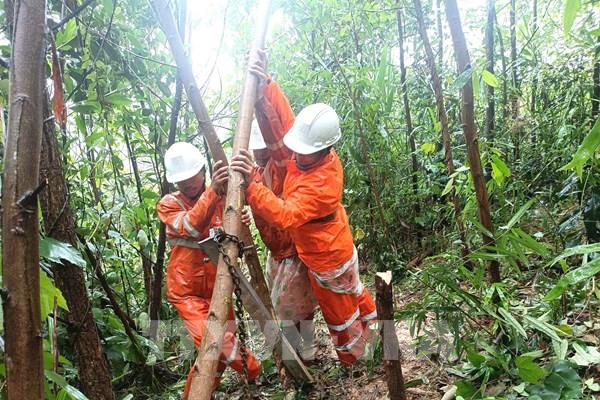 Đà Nẵng: Khôi phục cấp điện nhanh và an toàn nhất cho người dân vùng lũ