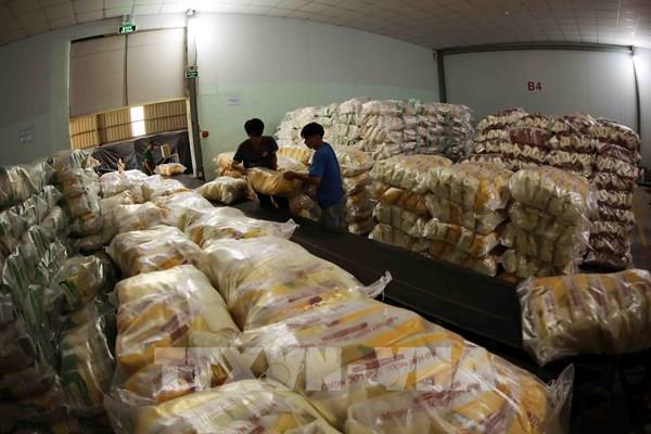 Giá gạo Việt Nam chạm mức thấp nhất 2 tháng