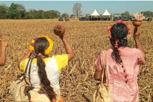 Brazil có gần 400 tộc người bản địa với 300 ngôn ngữ