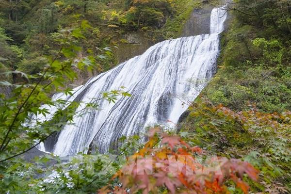  Chiêm ngưỡng tuyệt tác thiên nhiên mùa Thu tại tỉnh Ibaraki