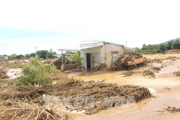 Yêu cầu Công ty Trang Trại Việt dừng trữ nước sau sự cố vỡ hồ làm 1 người chết
