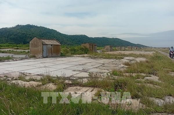 Giá muối giảm sâu, diêm dân Thanh Hóa bỏ ruộng tìm kế sinh nhai