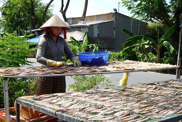 Nâng tầm vai trò phụ nữ Đồng Tháp qua kinh tế tập thể