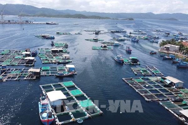 Bộ Công Thương chỉ đạo các đơn vị ứng phó bão số 13