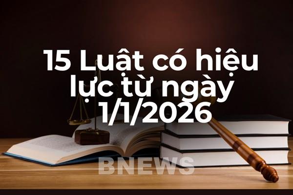 15 Luật có hiệu lực từ ngày 1/1/2026