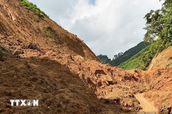 Đà Nẵng di dời khẩn 17 hộ dân tránh nguy cơ sạt lở