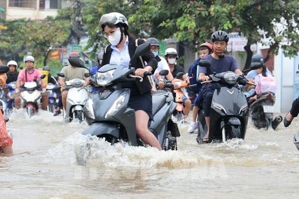 Từ ngày 7-10/11, lũ kết hợp triều cường sẽ khiến nước sông Cửu Long lên cao