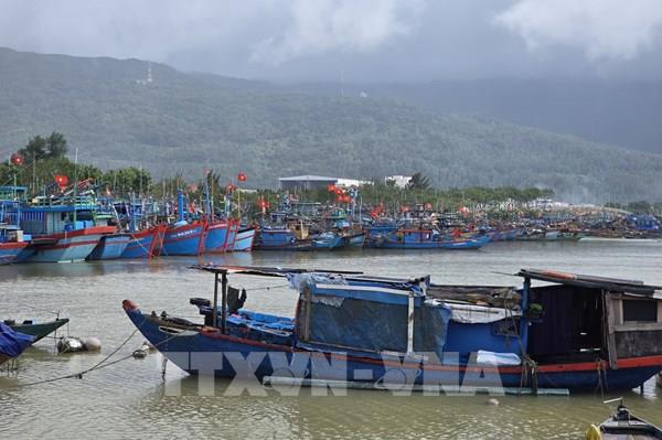 Đà Nẵng: Tàu thuyền khẩn trương vào tránh trú trước bão số 13