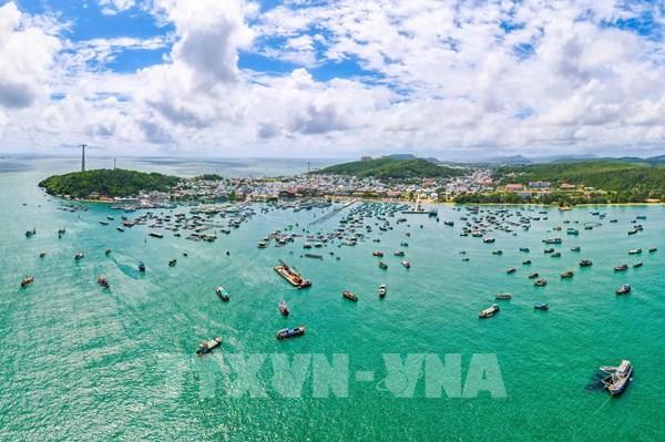 Tinh giản đội tàu, chuyển đổi nghề cá để gỡ “thẻ vàng” IUU