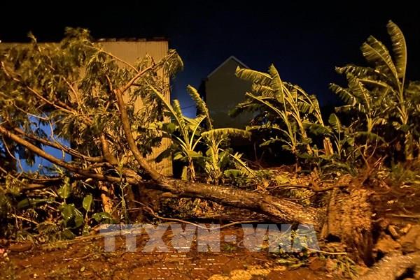 Bộ Quốc phòng huy động trên 268.000 cán bộ, chiến sĩ và 6 máy bay ứng phó bão số 13