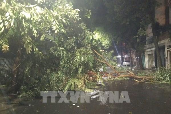 Hình ảnh Đắk Lắk thiệt hại nặng do bão số 13 đổ bộ