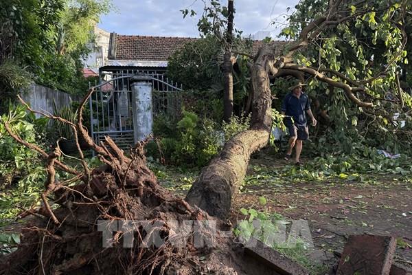 Thiệt hại hơn 170 tỷ đồng do bão số 13, Đắk Lắk dồn lực khắc phục hậu quả