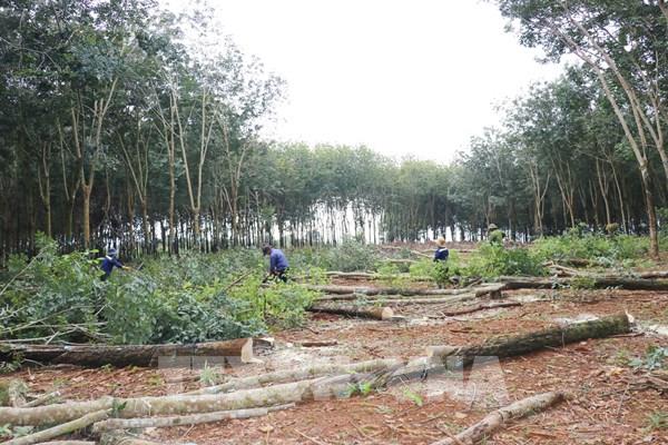 Đồng Nai tổng kết “Chiến dịch Quang Trung” cao tốc Gia Nghĩa – Chơn Thành