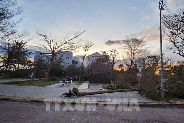 Khắc phục sự cố điện cho hơn 1,6 triệu khách hàng miền Trung sau bão số 13