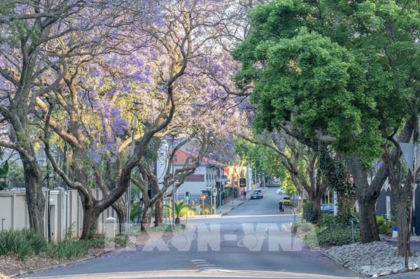 Tổng hợp sự kiện quốc tế nổi bật trong tuần qua ảnh (từ ngày 3-9/11/2025)