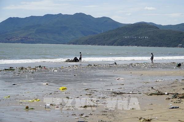 Từ Quảng Ninh đến Đắk Lắk chủ động ứng phó với bão gần Biển Đông