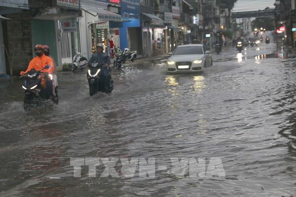 Giải bài toán ngập lụt, sạt lở khi mực nước thuỷ triều lên nhanh