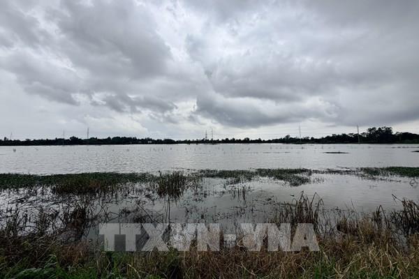 Đỉnh triều vùng hạ lưu sông Hậu dự báo xuống nhanh vài ngày tới