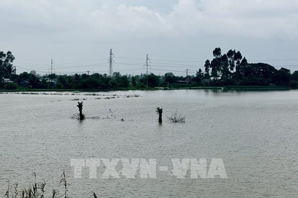 Hạ lưu sông Hậu sẽ xuất hiện đỉnh triều trên báo động 3 từ ngày 21-22/11