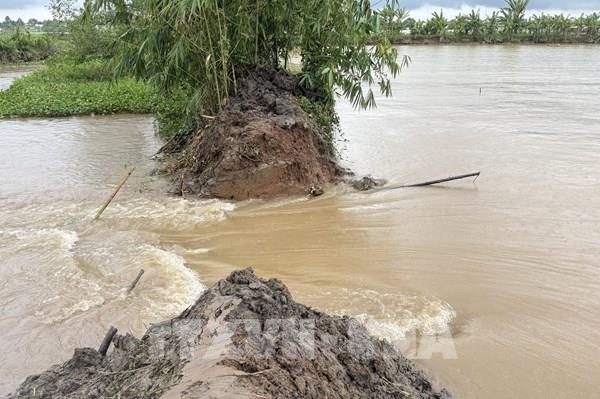 Khắc phục xong đoạn đê bị vỡ ở cồn Sơn, Cần Thơ