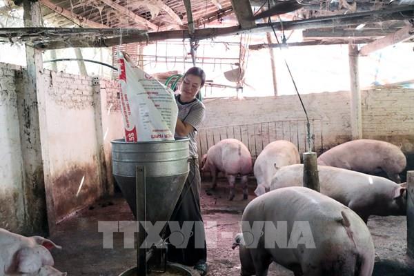 Vốn tín dụng chính sách giúp người hoàn lương ở Phú Thọ làm lại cuộc đời