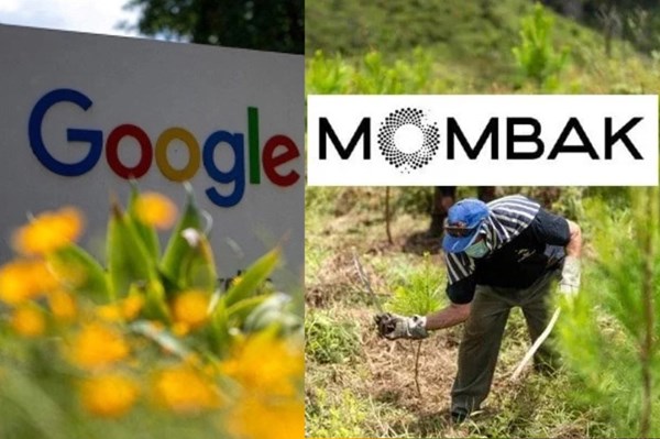 Google ký thỏa thuận lớn nhất từ trước tới nay về tín chỉ carbon