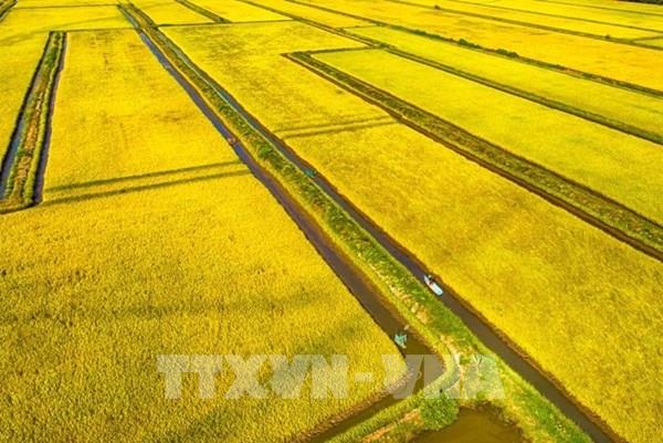 Nông nghiệp và môi trường trên hành trình kiến tạo kinh tế xanh