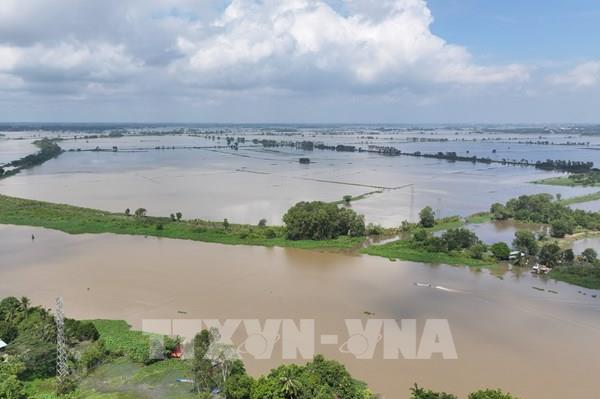 Lũ trên sông Vàm Cỏ Đông, Vàm Cỏ Tây vượt báo động III, nguy cơ ngập sâu, vỡ đê