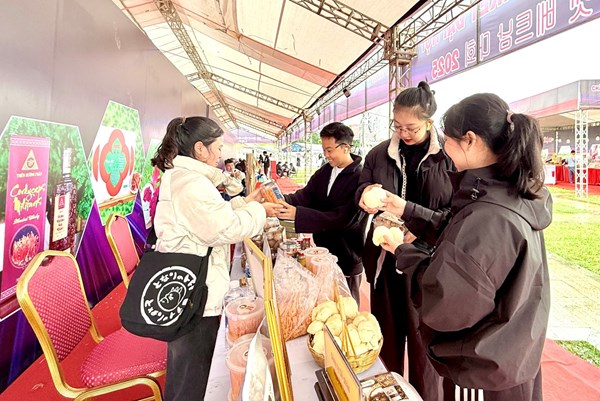 Hơn 100 đơn vị tham gia giao lưu văn hóa, thương mại Việt Nam - Hàn Quốc