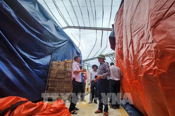 Gia Lai: Khẩn trương di dời hàng thiết yếu trước dự báo mưa lớn ở khu công nghiệp Nhơn Hội