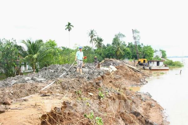 Vĩnh Long công bố tình huống khẩn cấp sạt lở đê bao cồn Thanh Long