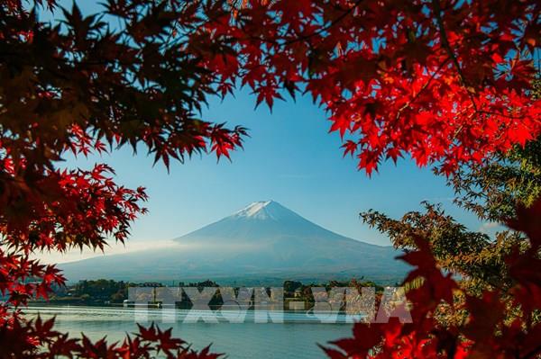 Vẻ đẹp quyến rũ của núi Phú Sĩ mùa Thu