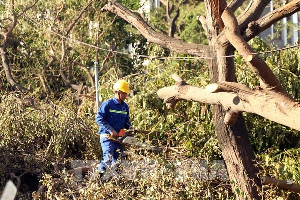 Gia Lai phản hồi thông tin thất thiệt cắt nước 2-3 ngày sau bão số 13