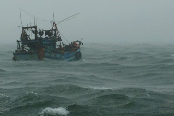 Bão số 14 tiếp tục đổi hướng. di chuyển chậm hơn trước khi suy yếu dần