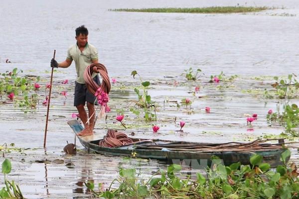 Biên giới Tây Nam mùa nước nổi: Mưu sinh giữa mênh mông sóng nước