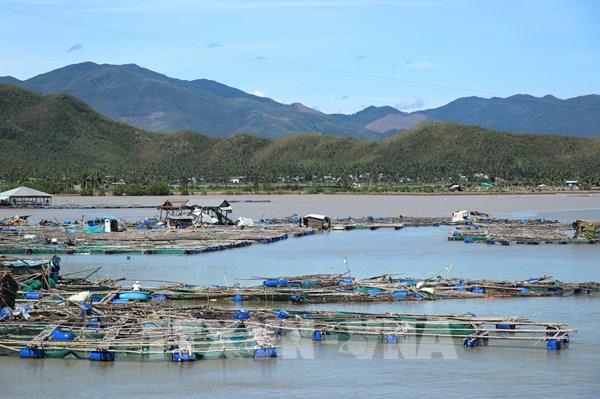 Vùng nuôi trồng thủy sản Đắk Lắk bị thiệt hại nặng do bão số 13