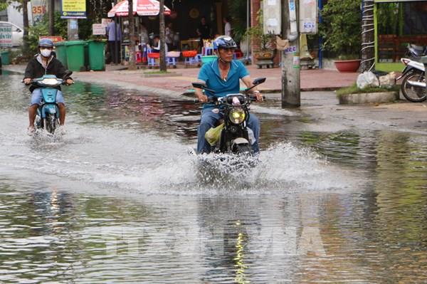 Nước dâng "phá kỷ lục”, người dân Cà Mau khổ sở giữa triều cường