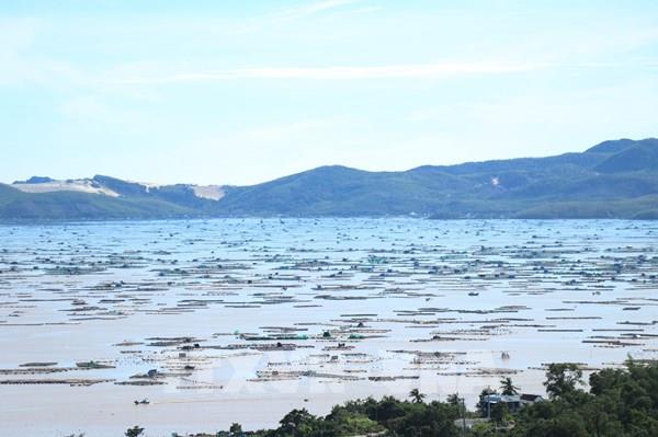 Bão số 14 đổi hướng, Bắc Bộ không khí lạnh tăng cường