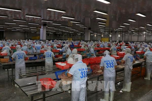 Bảng tra cứu lương tối thiểu vùng tỉnh Đồng Tháp từ 1/1/2026