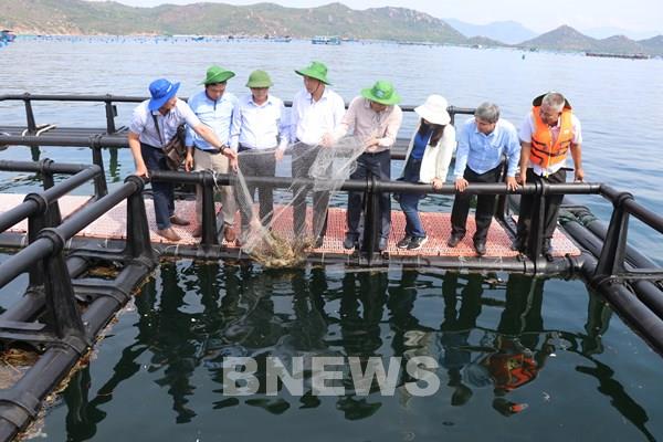 Nuôi biển công nghiệp vươn tầm kinh tế xanh - Bài cuối: Hoàn thiện thể chế, bứt phá công nghệ