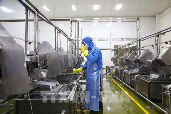 Đồng Nai: Nông sản công nghệ cao chinh phục thị trường quốc tế