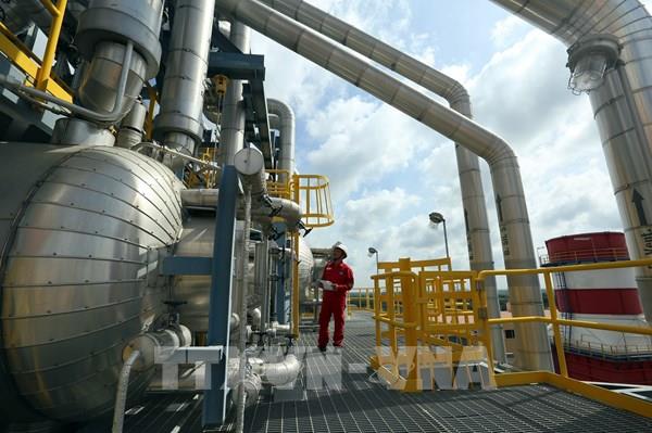 Đồng Nai khẩn trương hoàn thiện các dự án lưới điện giải tỏa công suất Nhơn Trạch 3 và 4