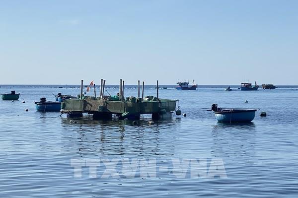 Đắk Lắk yêu cầu quản lý chặt hoạt động nuôi trồng thủy sản