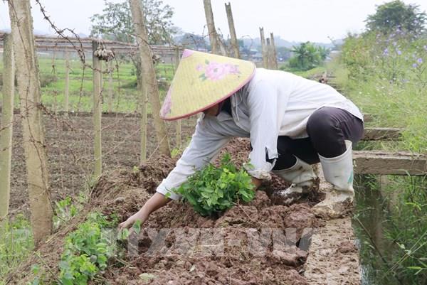 Thủ tướng yêu cầu tập trung khôi phục sản xuất kinh doanh, ổn định đời sống nhân dân sau bão lũ​