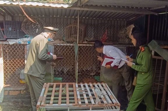 Liên tiếp phát hiện nhiều điểm nuôi nhốt, bắt giữ động vật hoang dã