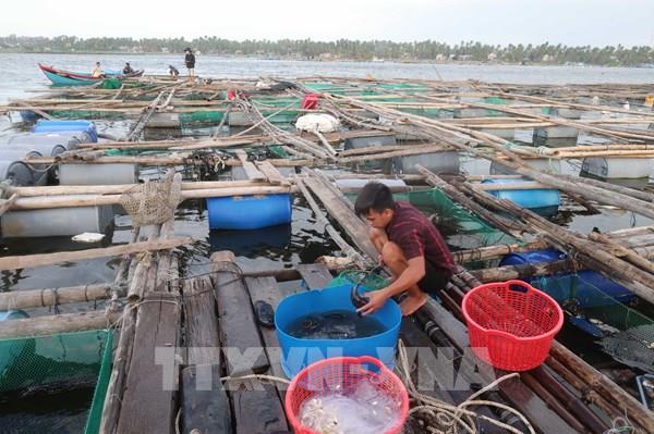 Bão số 15 mạnh thêm, giữ nguyên hướng di chuyển