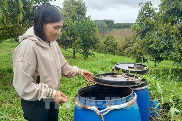 Vì sao mô hình liên kết nông nghiệp hữu cơ mang lại hiệu quả cao?