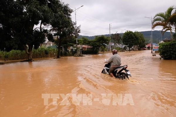 Quốc lộ 20 đi Đà Lạt bị ngập sâu, ô tô không thể lưu thông