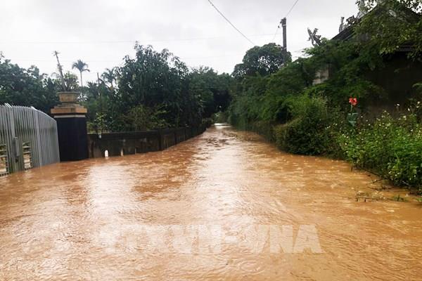Người dân ở hạ lưu ven sông Thạch Hãn khẩn trương “chạy lũ”